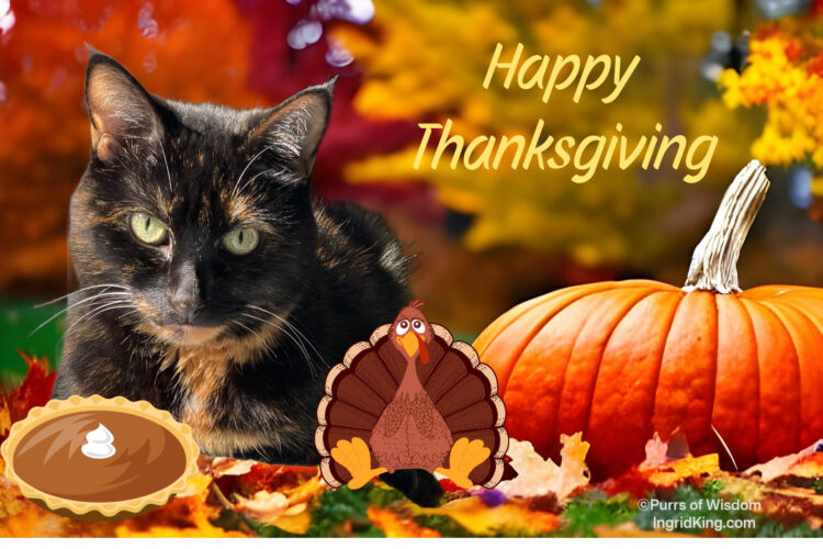 thanksgiving-Allegra