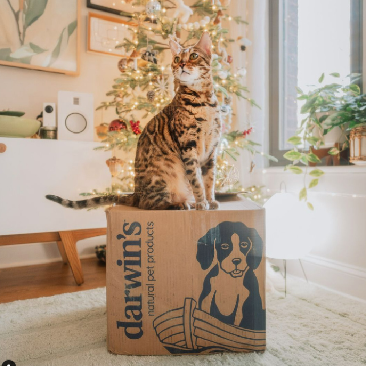 Darwins-natural-raw-cat-food