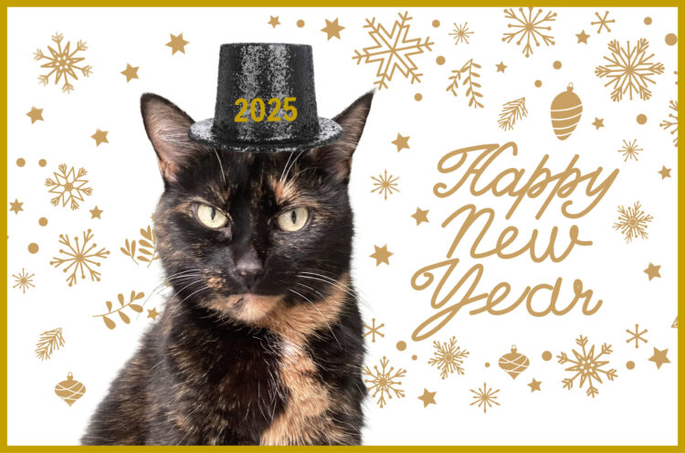 new-year-2025-cat