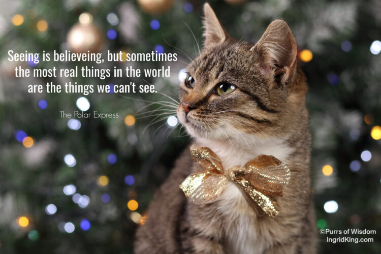 cat-christmas-tree