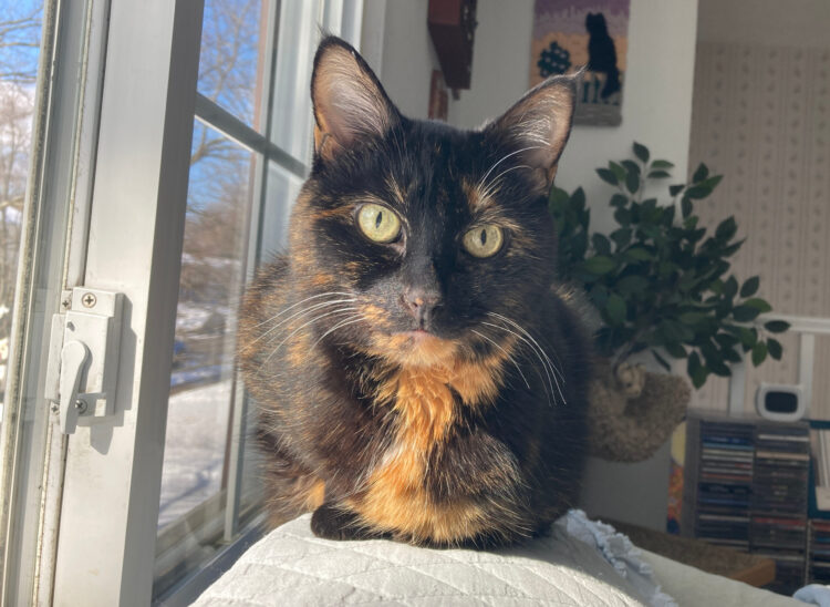 Allegra-window-snow-outside
