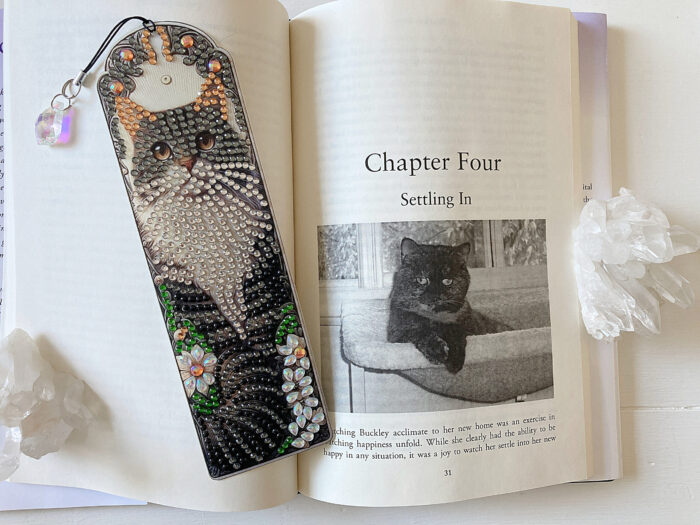 Buckleys-Story-bookmark