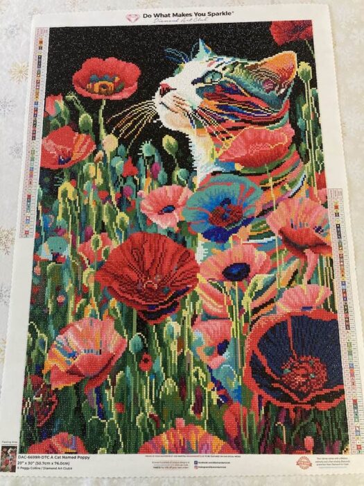 a-cat-named-poppy-diamond-painting