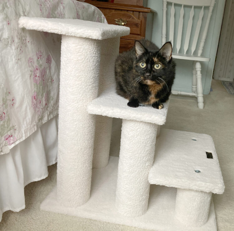 pet-stairs