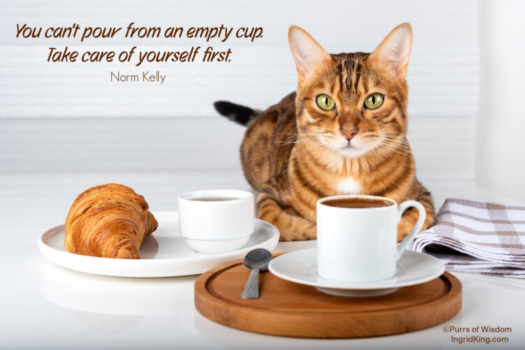cat-cup-of-coffee-croissant