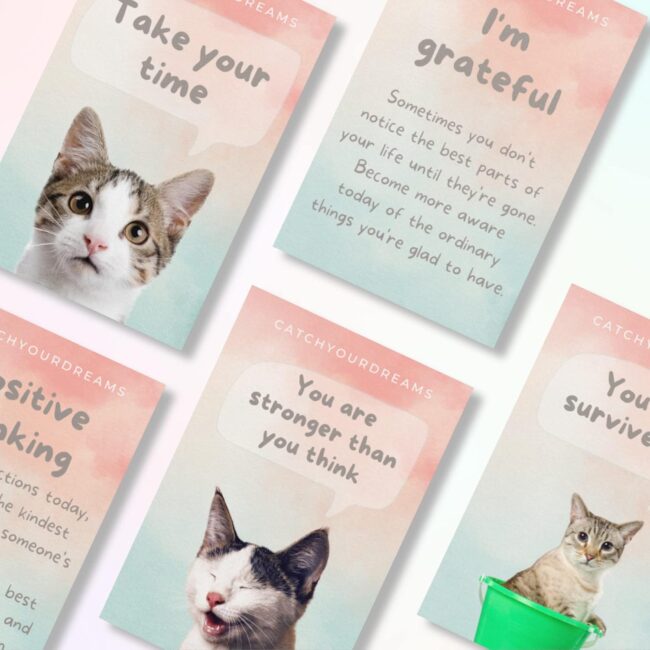 cats-against-anxiety