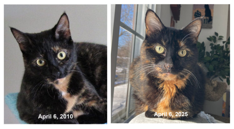 Allegra-then-and-now