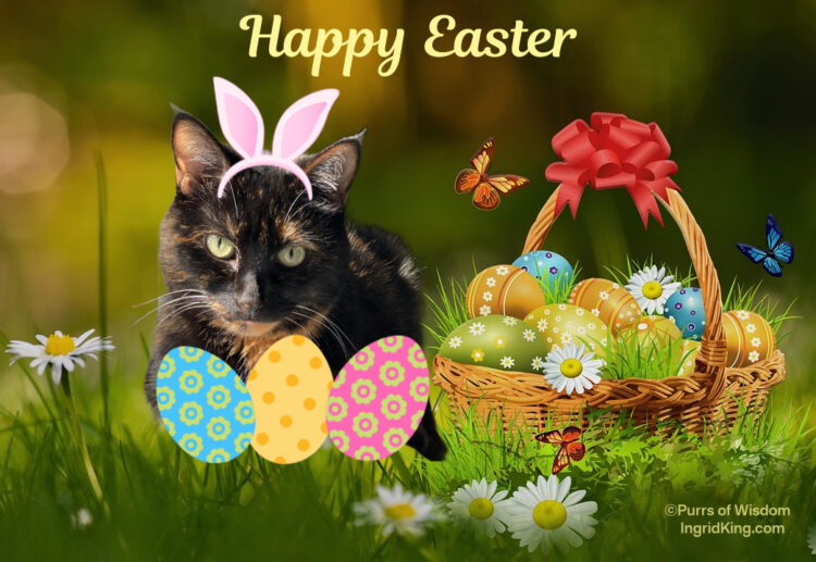 Allegra-Easter