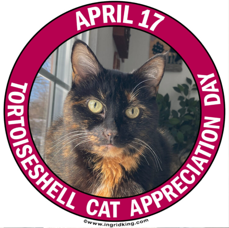 tortoiseshell-cat-appreciation-day-2025