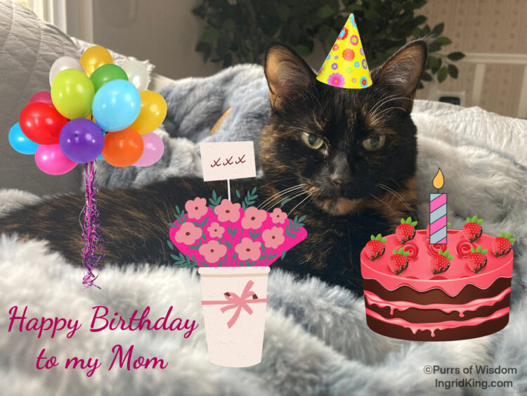 allegra-birthday-party-hat