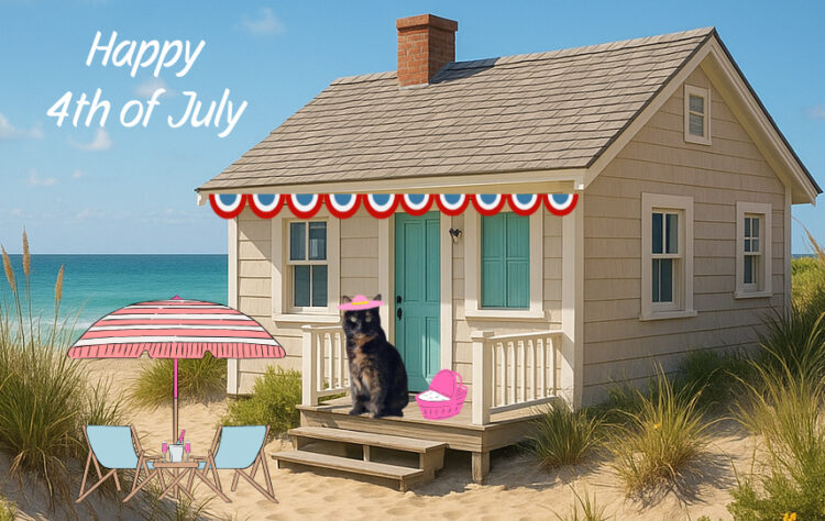 cat-beach-cottage