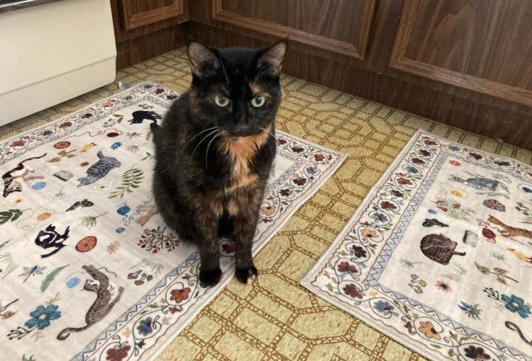 allegra-kitchen-rugs