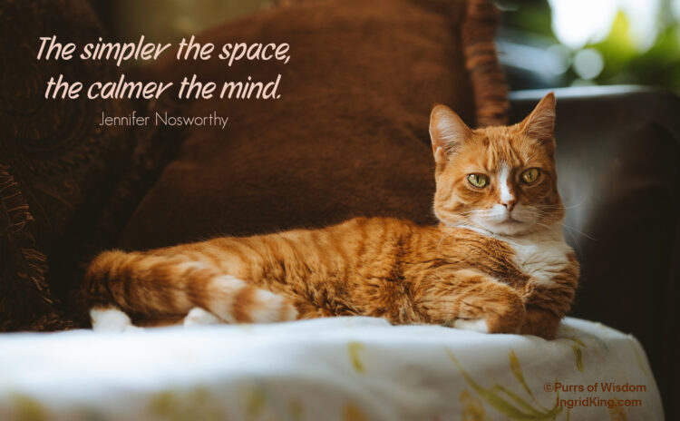 orange-cat-sofa