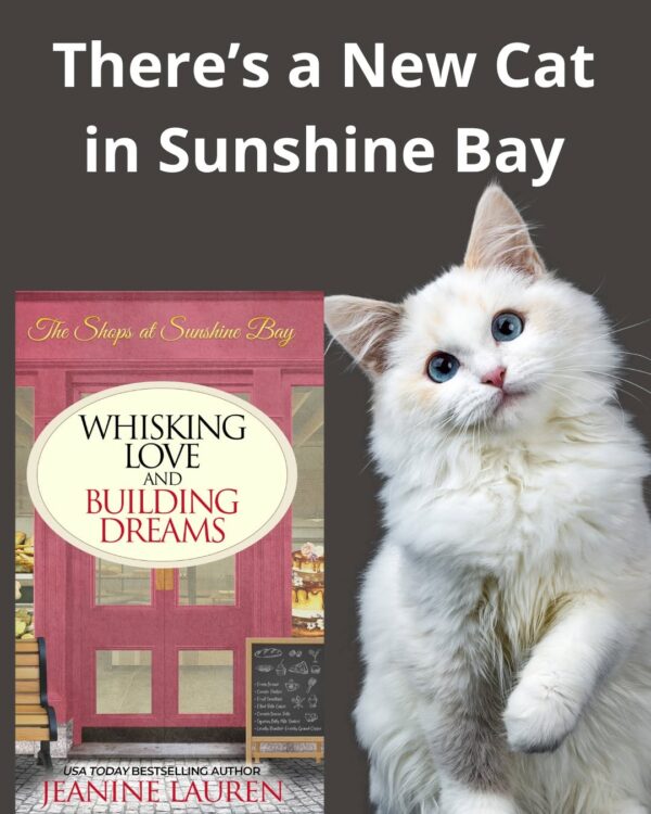 whisking-love-and-building-dreams-cover