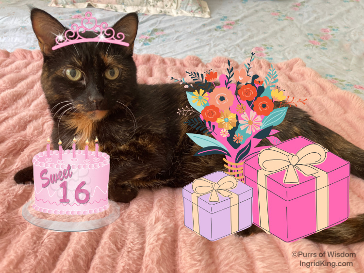 Allegra-sweet-16-birthday