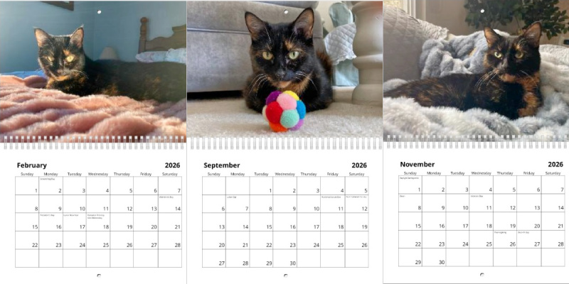 purrs-of-wisdom-calendar