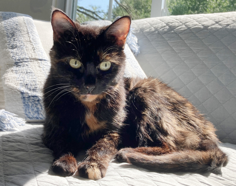 Allegra-late-summer-sun