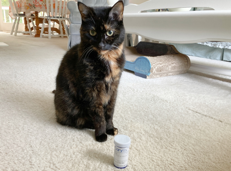 Allegra-with-pill-vial 
