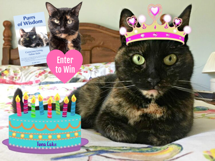 Ruby-allegra-anniversary