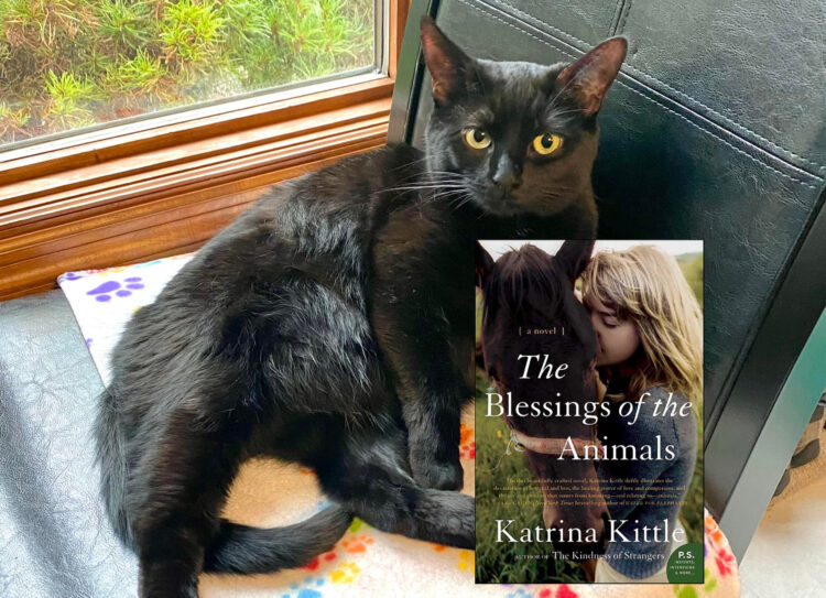 the-blessings-of-the-animals-annie