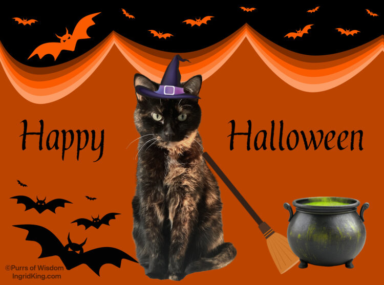 halloween-cat