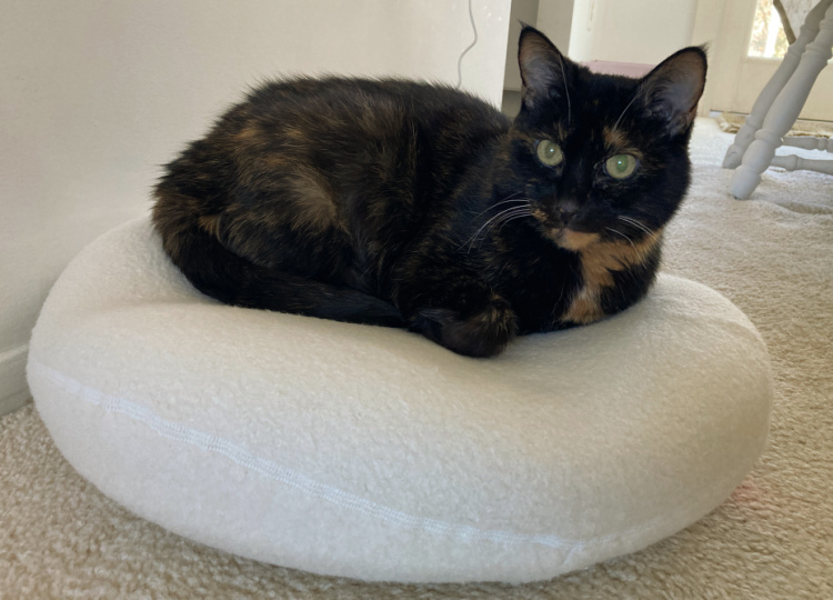 knead-therapeutic-cat-bed