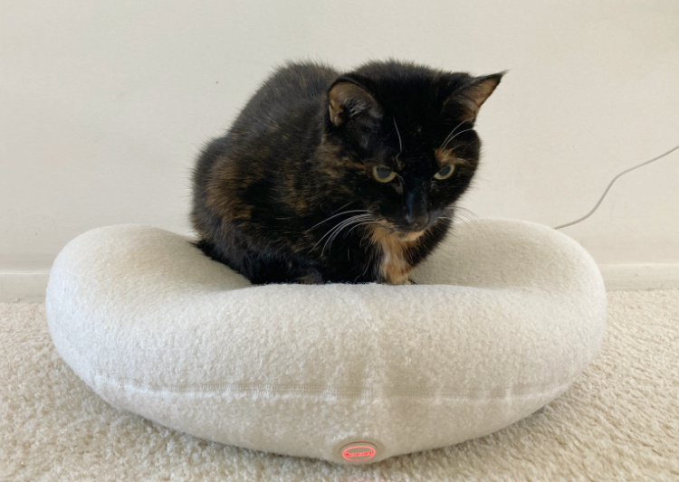 Knead-therapeutic-bed
