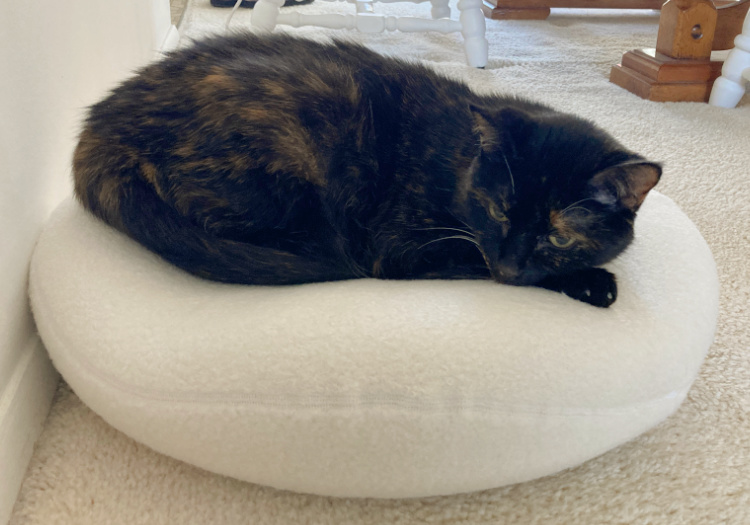 Knead-therapy-bed