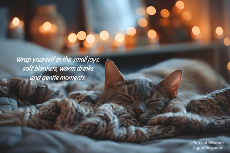 blanket-cat-hygge- comfort