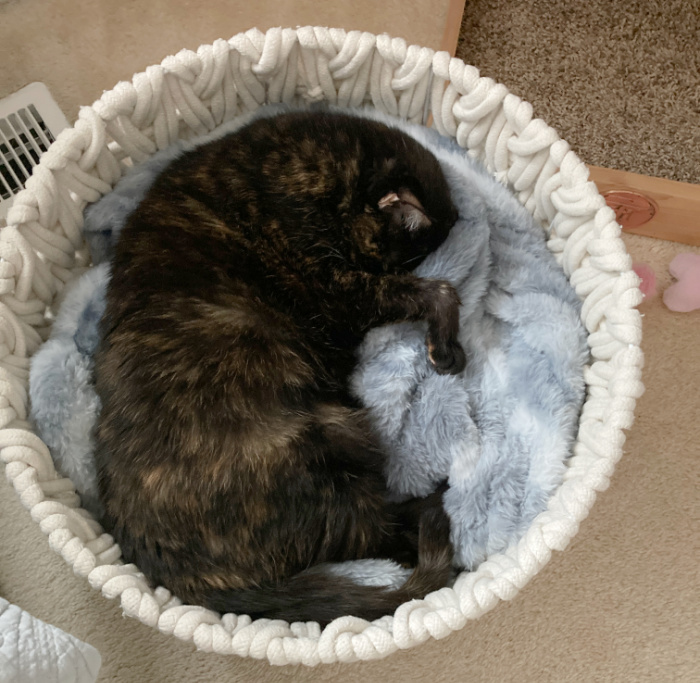Allegra-sleeping-blanket-basket