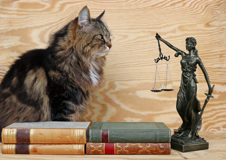cat-law-books