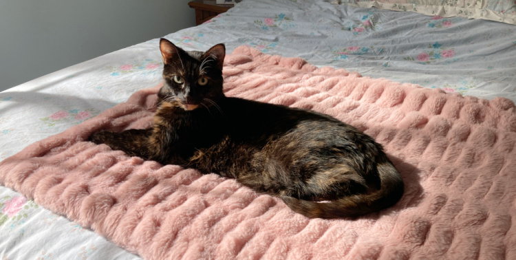 Allegra-pink-Lola-blanket
