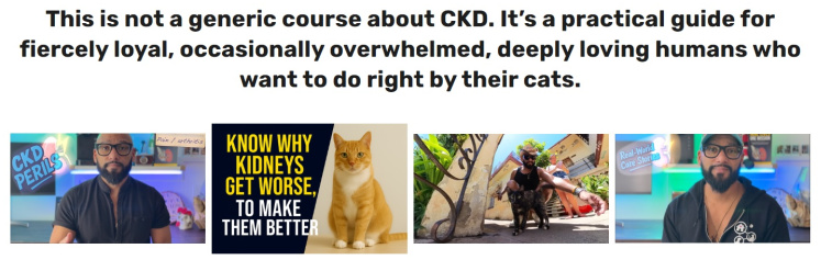 Dr.-Kris-CKD-Master-Guide