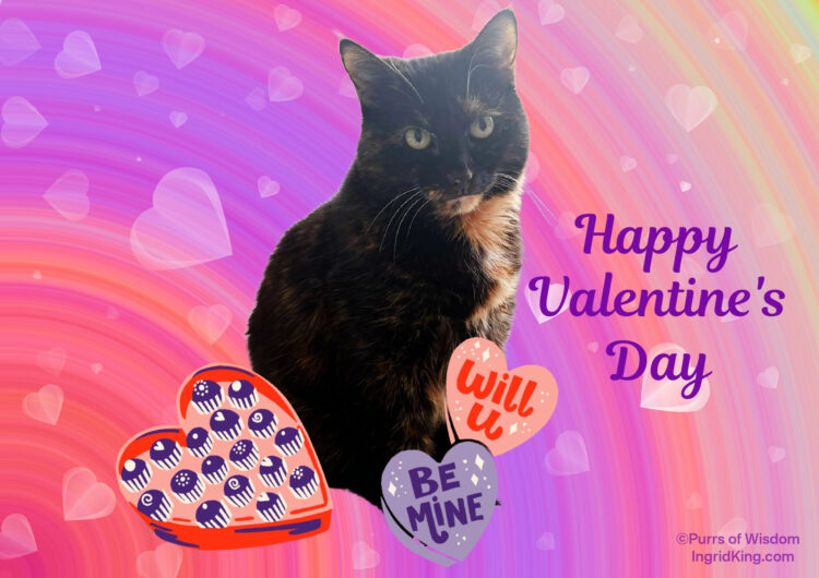 valentines-day-allegra