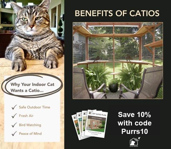 catio-spaces