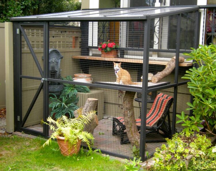 catio-cat-enclosure