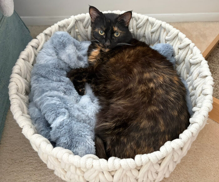 Allegra-blanket-basket