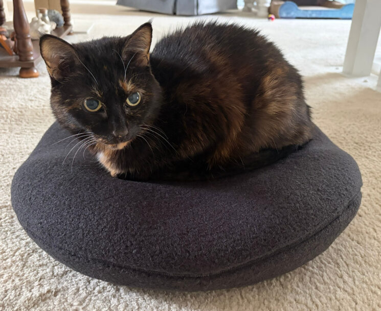 Knead-orthopedic -bed