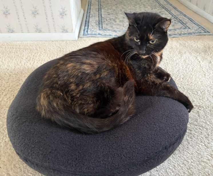 Knead-therapeutic-bed