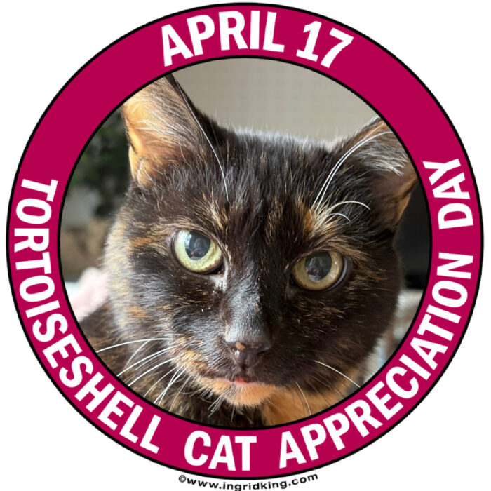 tortoiseshell-cat-appreciation-day