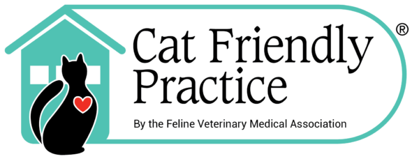 cat-friendly-practice-feline-vma