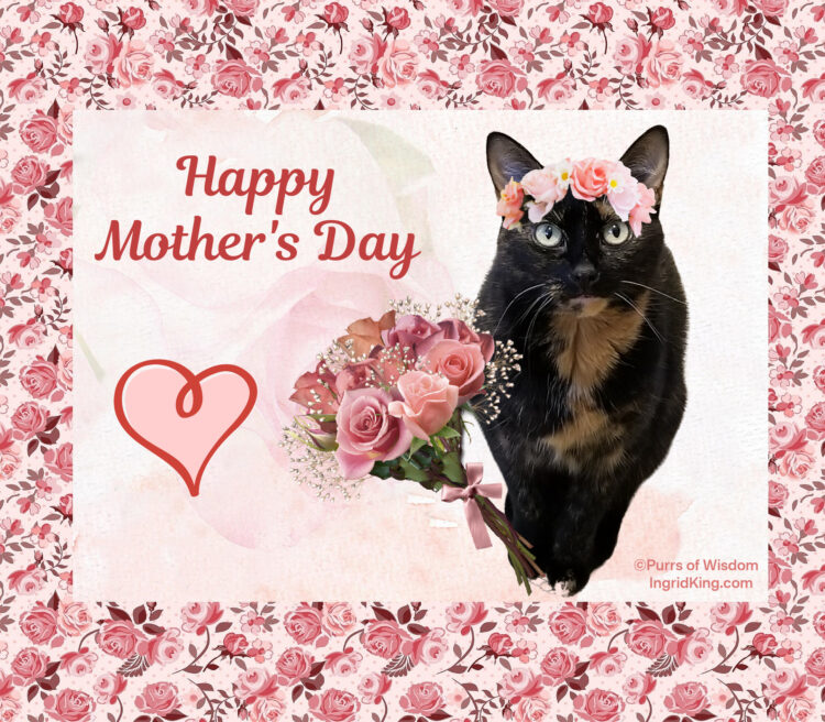 mothers-day-cat