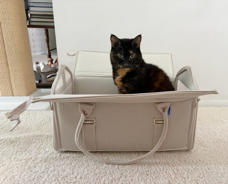 Porto-cat-carrier