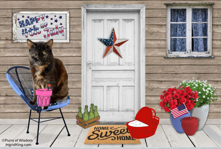 4th-of-july-porch-cat